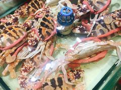 -强记海鲜·大排档(蛇口新街店)