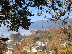 -塔川景区