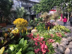 -北京植物园-展览温室