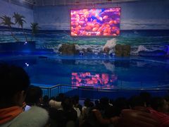 -多彩贵州城极地海洋世界