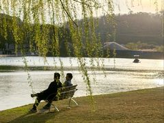 -上海月湖雕塑公园