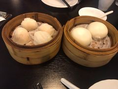 -添运来(茶园奥园广场店)