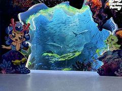 -海合安青岛极地海洋公园
