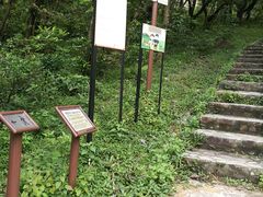 -凤凰山