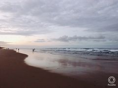 -黄金海岸