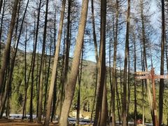 -硗碛藏寨·神木垒景区