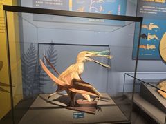 -国家自然博物馆