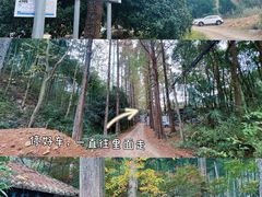 -东明山森林公园