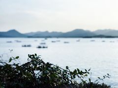 -湖畔居茶楼(湖滨店)