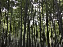 -陶祖圣境风景区