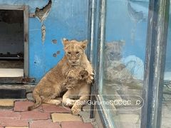 -大连森林动物园