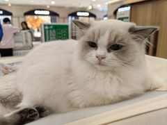 -梅龙镇广场