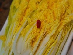 -小龙坎老火锅(北京三里屯店)