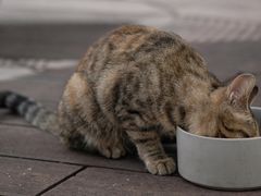 -UNI UNI(环亚凯瑟琳店)