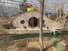 -南宫五洲植物乐园