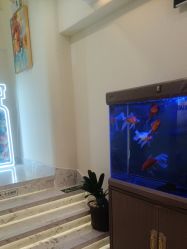 -海涛医疗美容·面部抗衰·注射美鼻