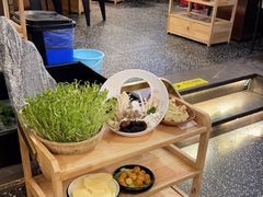 -洪氏嗨捞·猪肚鸡火锅(阳光天地店)