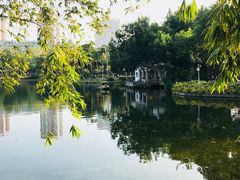 -晓港公园