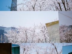 -龙美术馆(西岸馆)