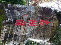 iphone_upload_pic-名树园