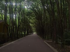 -同里国家湿地公园