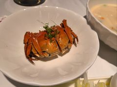 -洋洋中餐馆·SINCE 1997(信投店)