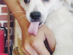 -石头会唱歌融来+北港岚台两岸交流中心