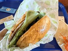 -巴黎迪士尼乐园