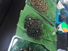 -席娜卡琳火车铁道夜市