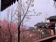 -穹窿山景区