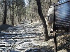 -阳台山自然风景区