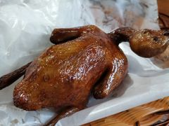 -石岐乳鸽村(桥观坊南四巷店)