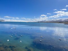 -青海湖国家重点风景名胜区