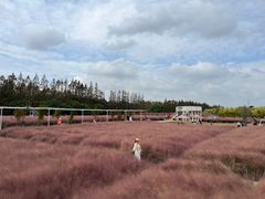 -嘉北郊野公园