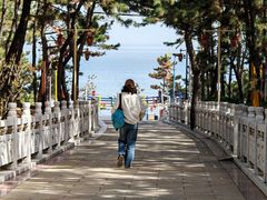 -林海公园