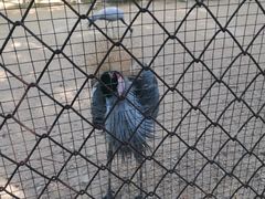 -祥源·阜阳生态乐园