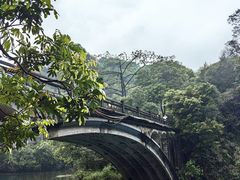 -鼎湖山风景区