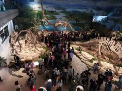 -自贡恐龙博物馆