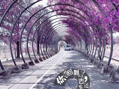 -上海辰山植物园