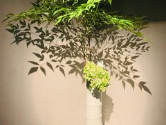 -穹六人间 people 6(岳阳路店)