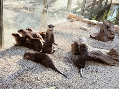 -昆明动物园