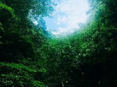 -东天目山风景区