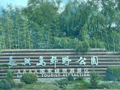 -上海长兴岛郊野公园