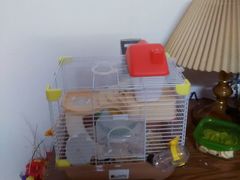 android_upload_pic-龙猫仔乐园(惠福东路店)