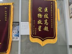 -美美宠物诊疗中心·异宠·骨科(滨江东信分院)