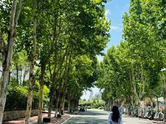 -陈家山荷花公园