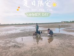 -奉贤海滩