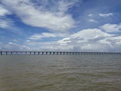 -宝安西湾红树林湿地公园