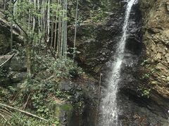 -大余丫山旅游度假区