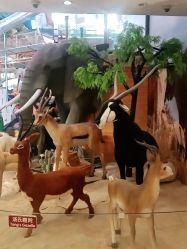 -卡通尼·Safari非洲探索乐园·生日会(金桥国际商业广场店)